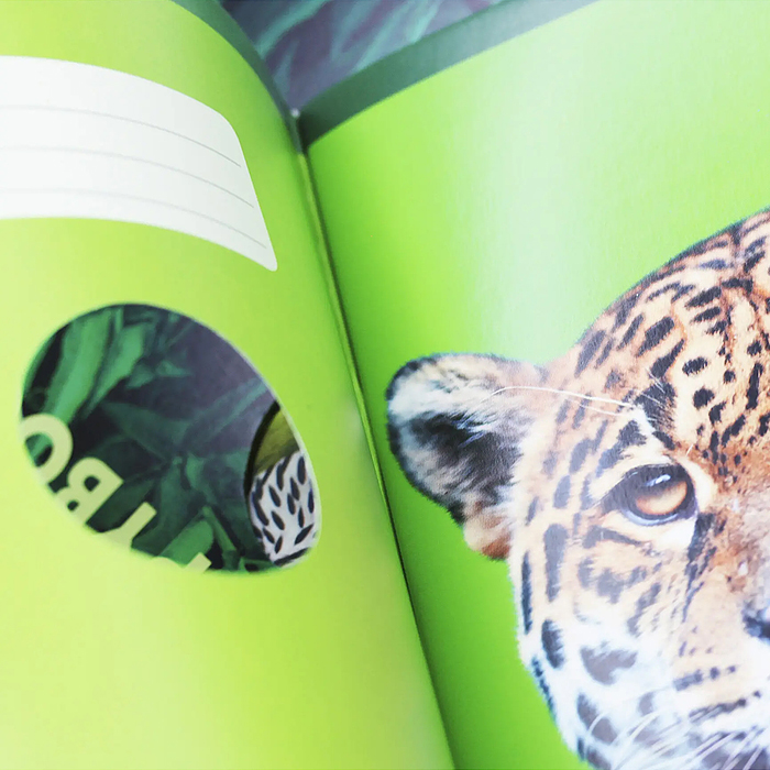 Тетрадь 48л. "Jungle" клетка, скрепка, двойная обложка