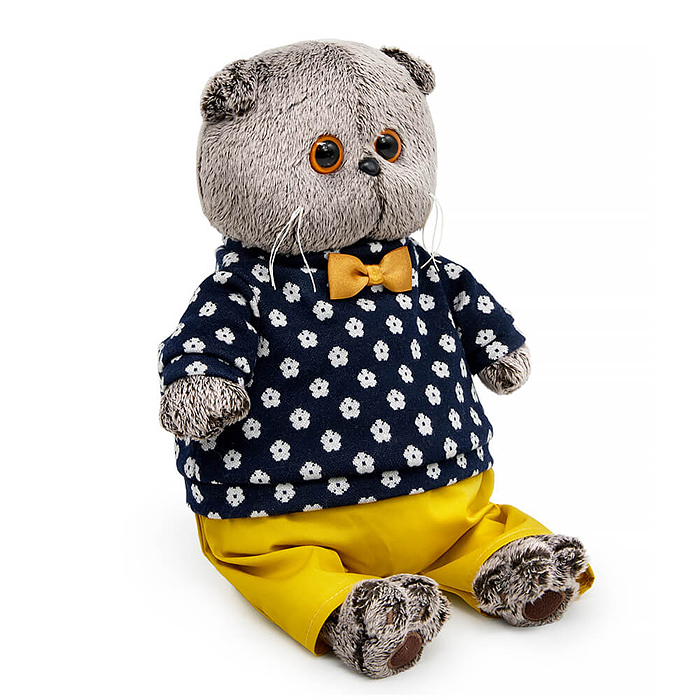 Кот Басик в джемпере в цветочек