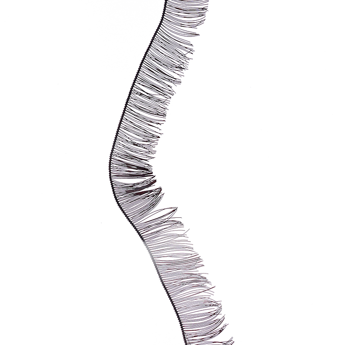 Реснички декоративные, из синтетических волокон шириной 8 мм, длина тесьмы 20 см, черные, в