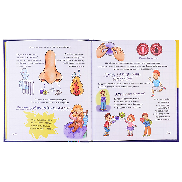 Энциклопедия. Тайны твоего тела