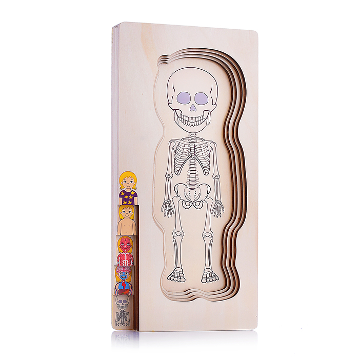 Пазл-вкладыш D2038 "Девочка"