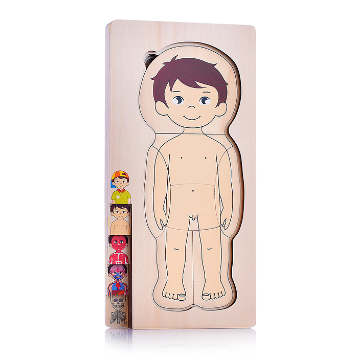 Пазл-вкладыш D2039 "Мальчик