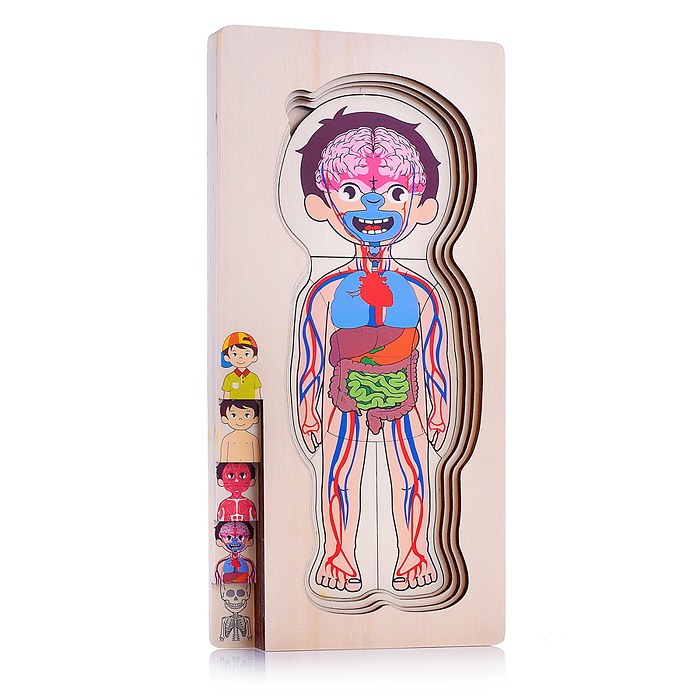 Пазл-вкладыш D2039 "Мальчик