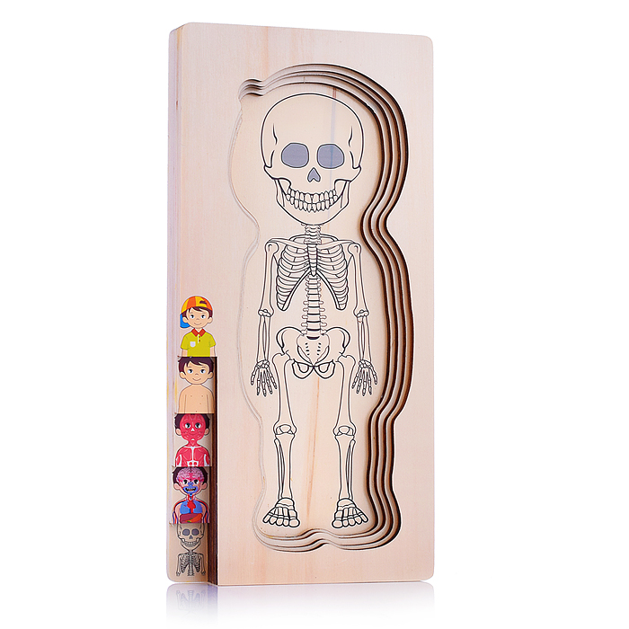 Пазл-вкладыш D2039 "Мальчик