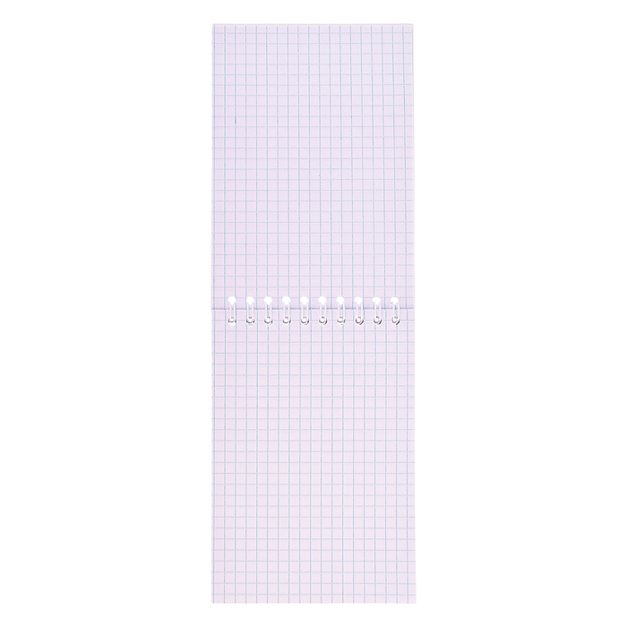 Блокнот 48л. клетка А6 на гребне "Девочка с котятами" 