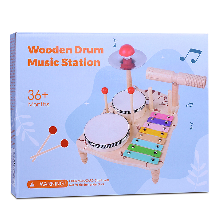 Набор инструментов D1731 "Музыкант"