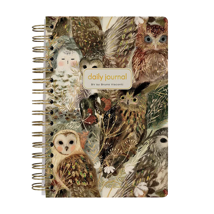 Ежедневник на золотом гребне «Cute diary» А5, BV, 136 л, "Волшебные совы"