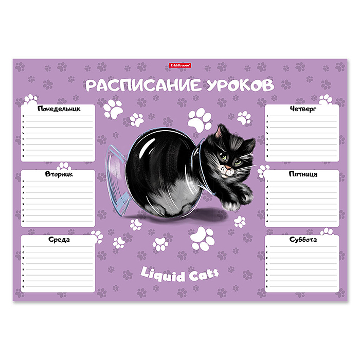 Расписание уроков "Жидкие коты" А3