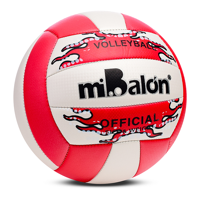 Мяч волейбольный 00-5473 