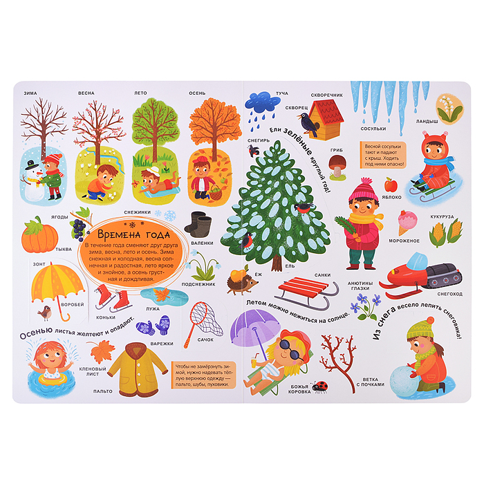 Мой первый словарь. Мир вокруг.