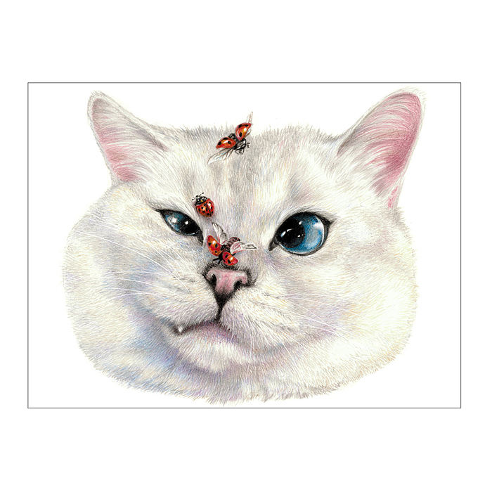 Холст с красками 17х22 по номерам "Мордашка кота" (13цв.) 