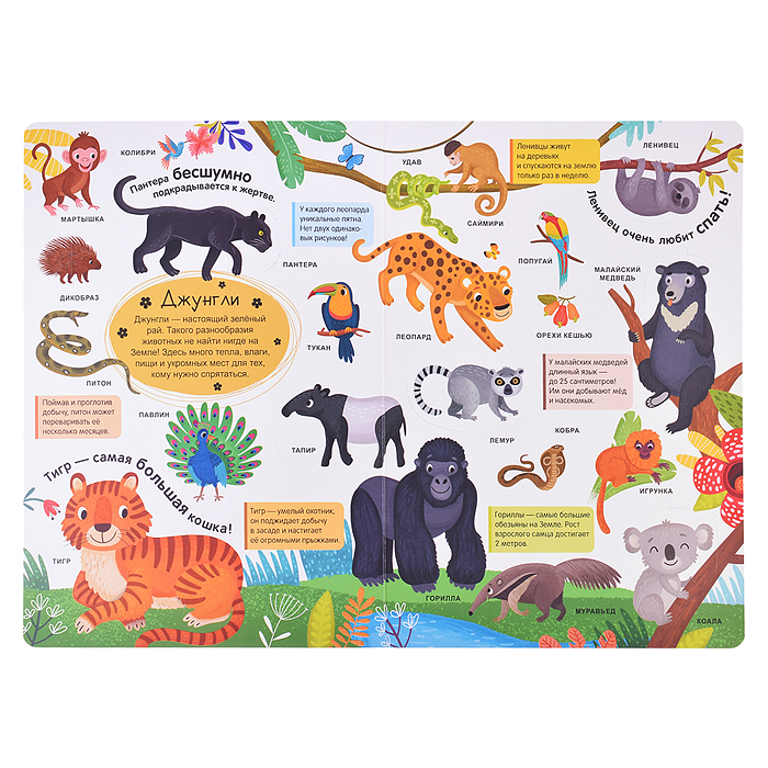 Мой первый словарь. Живая природа.