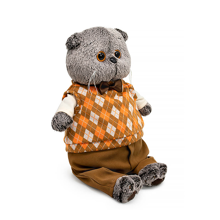 Кот Басик в трикотажном жилете