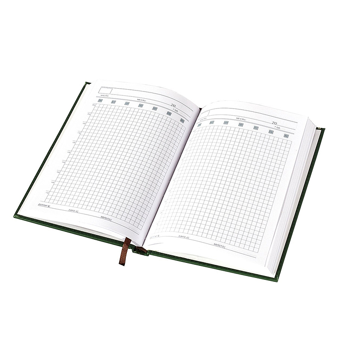 Ежедневник недатированный, А5, 140 л., клетка, "Орнамент", тиснение, ляссе, зеленый