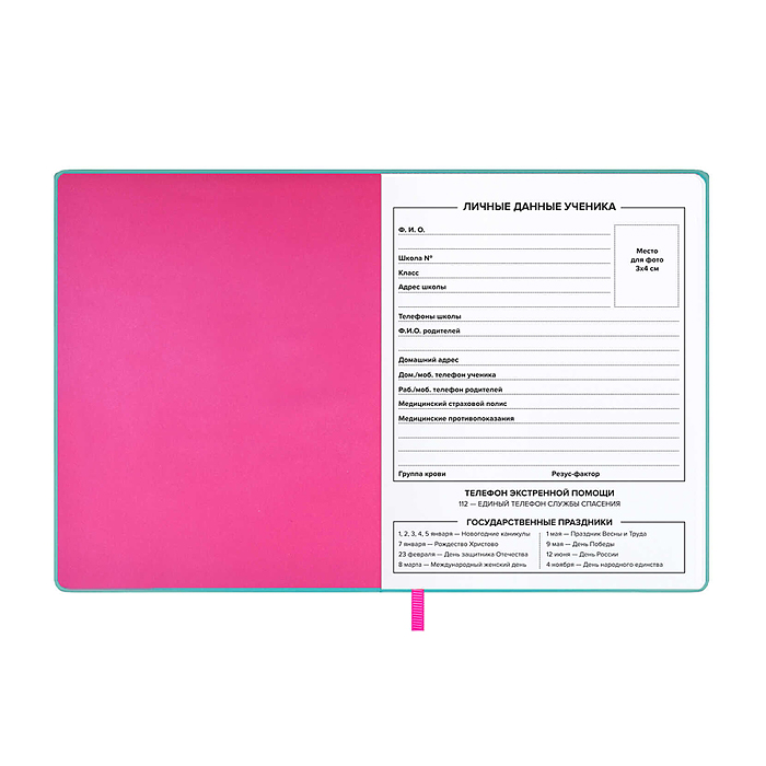 Дневник 1-11 кл. "Хайп" кожзам. А5+; твёрдый переплёт