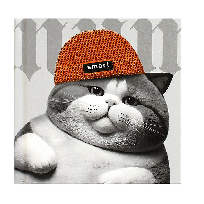 Блокнот 48 л, клетка "Кот в шапочке" 105х105 мм, 