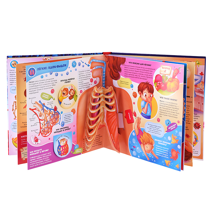 Интерактивная энциклопедия. Анатомия