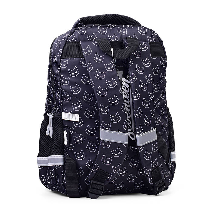 Рюкзак школьный "Seventeen" с двумя отделениями 39x27x16 см. 