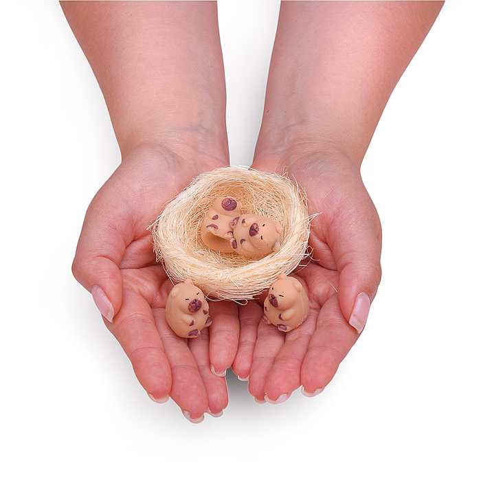 Игрушка -антистресс 00-6685 "Капибарки в корзинке"