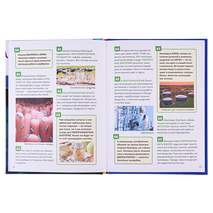 Микромир. Энциклопедия российского школьника