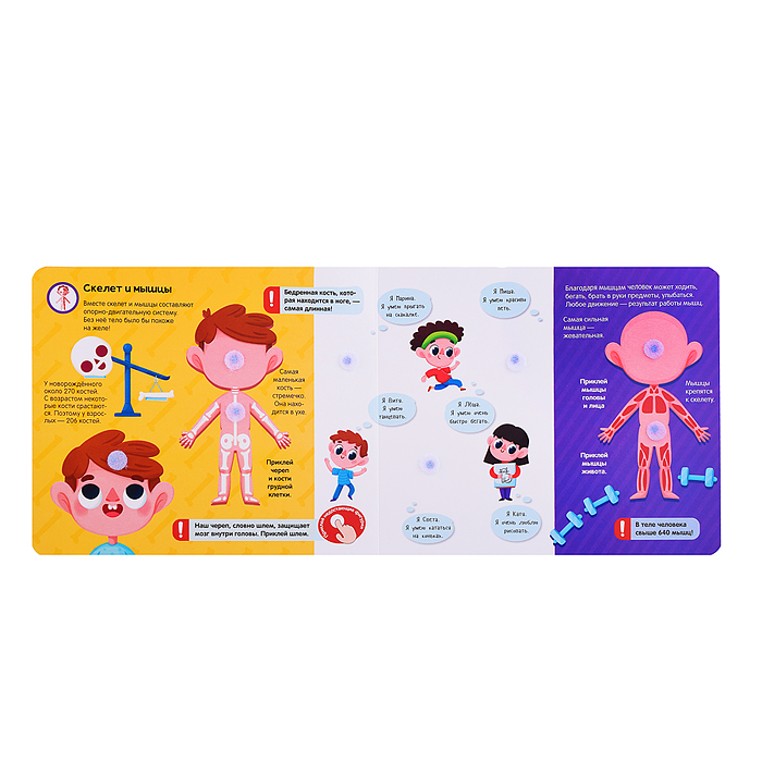 Фото к товару Липучки. Моё тело Липучки. Моё тело