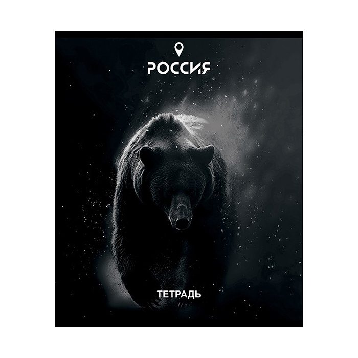 Тетрадь 48л. клетка, А5 "Место силы" скрепка