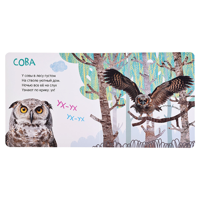 Фото к товару Книжка с окошками "Кто где живет?" Книжка с окошками "Кто где живет?"