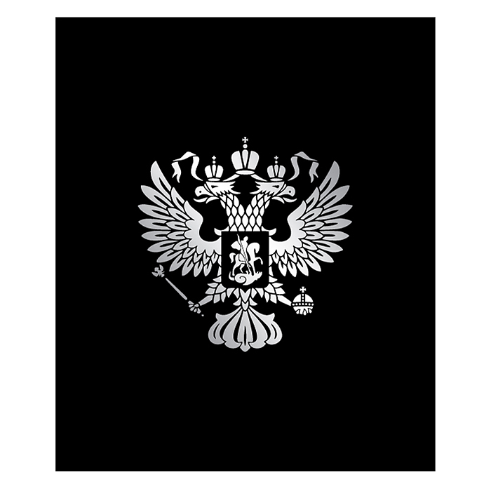 Тетрадь 96л. клетка А5 "Россия" скрепка S 