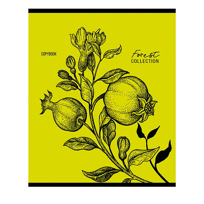 Тетрадь 96л. клетка "Зарисовки природы"