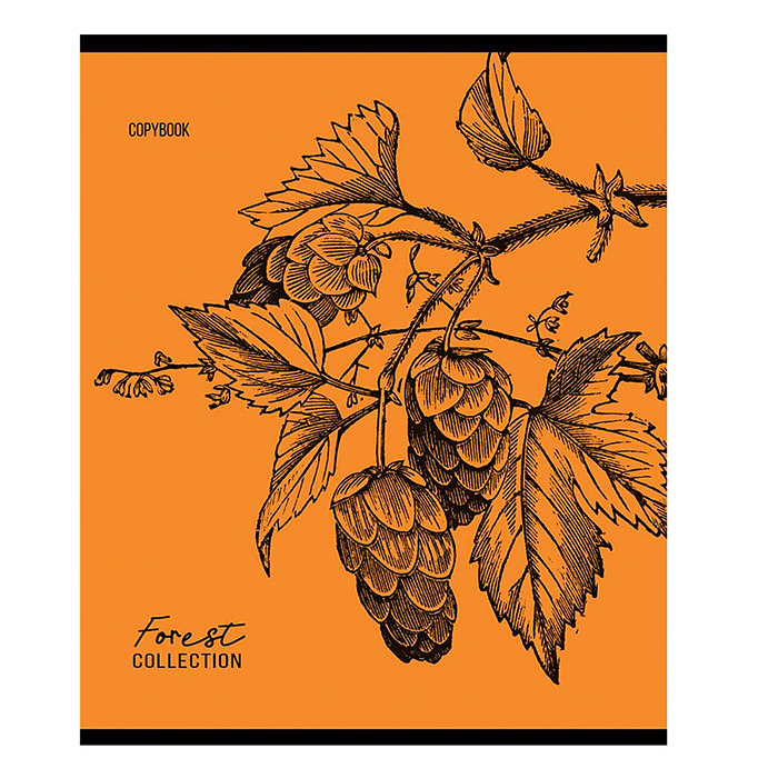 Тетрадь 96л. клетка "Зарисовки природы"