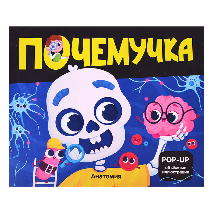 Почемучка. Анатомия Почемучка. Анатомия