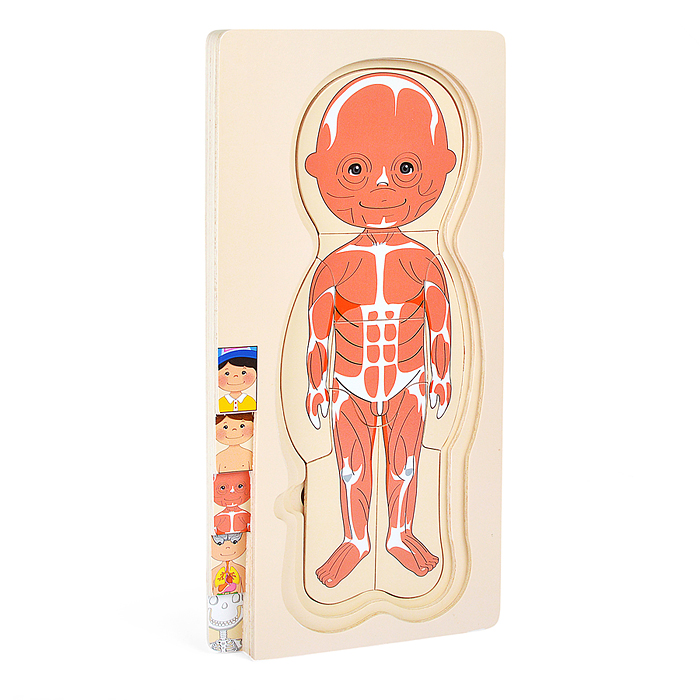 Пазл-вкладыш D2037 "Мальчишка"