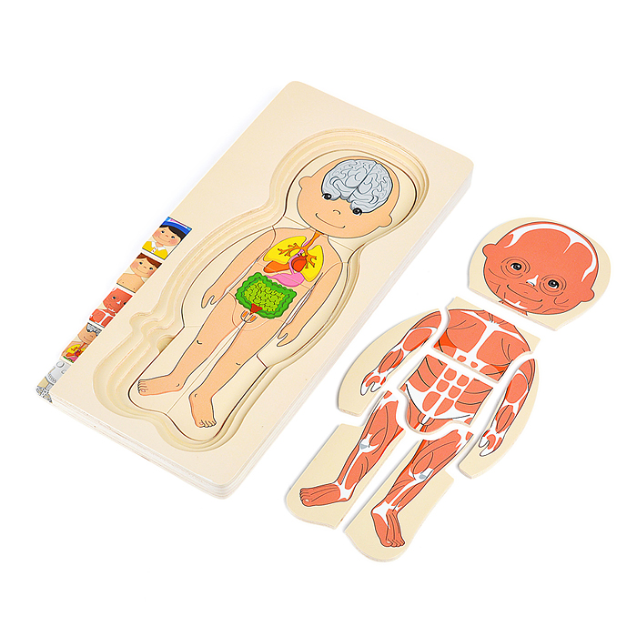 Пазл-вкладыш D2037 "Мальчишка"