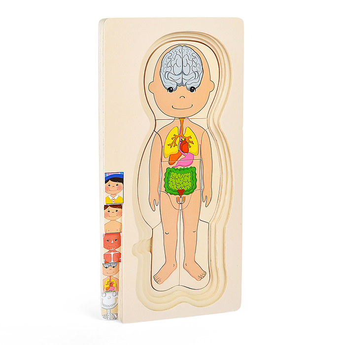 Пазл-вкладыш D2037 "Мальчишка"