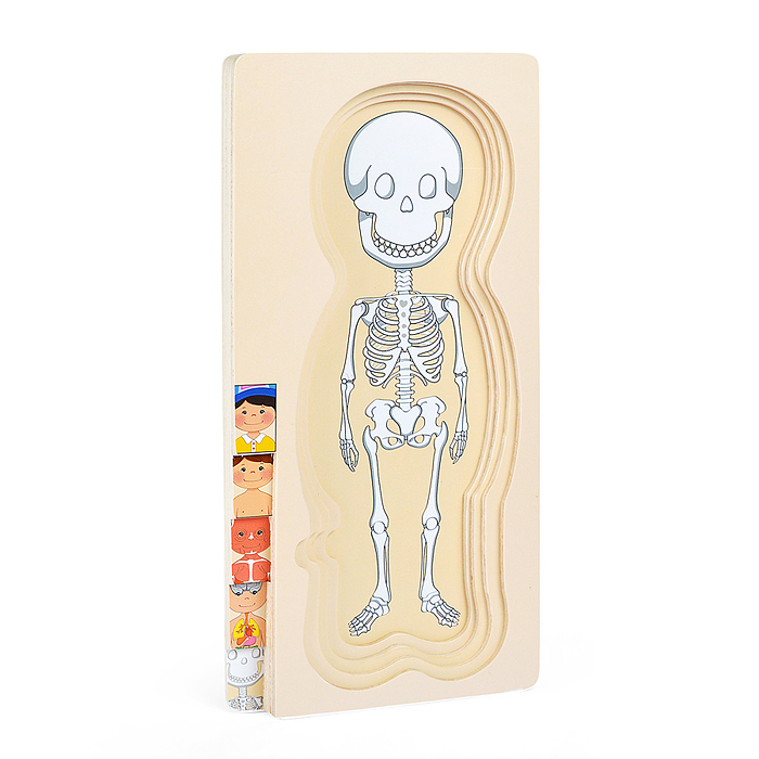 Пазл-вкладыш D2037 "Мальчишка"