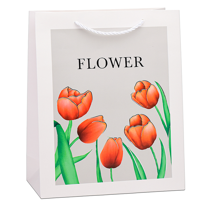 Пакет подарочный 00-6339 "Flower" 26х32х10 см