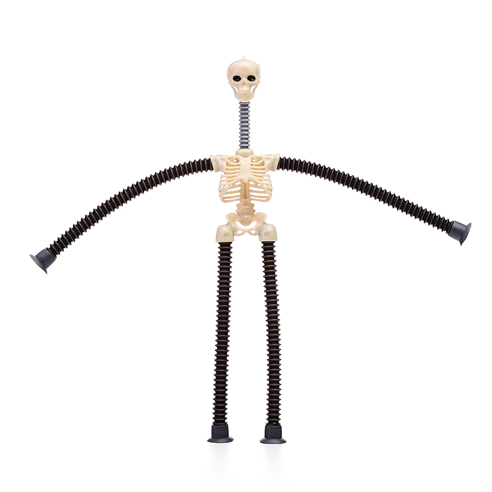 Игрушка -антистресс 00-6668 "Скелет"