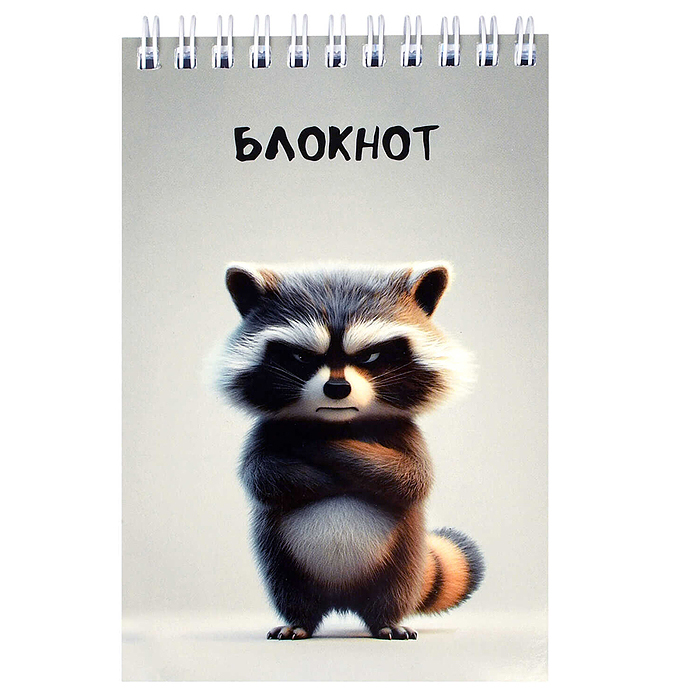 Блокнот А6, 96 л, клетка "Сердитый енот"