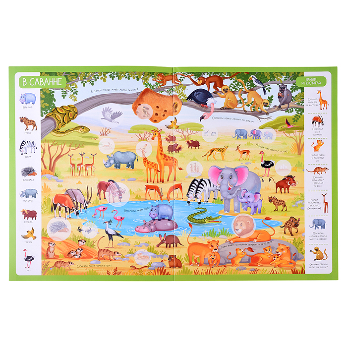 Фото к товару Виммельбух с наклейками. Животные Виммельбух с наклейками. Животные