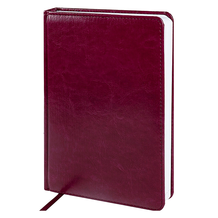 Ежедневник А5, 160л. недатир. "TOUCH SKIN - BORDEAUX" бордовый