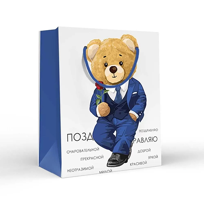 Пакет подарочный (S)