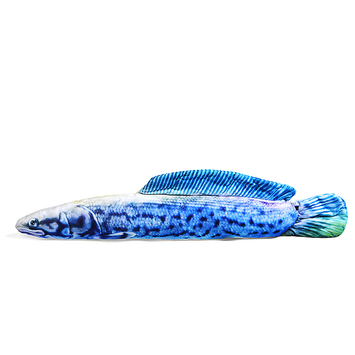 Фото к товару Арапайма В85 Арапайма В85