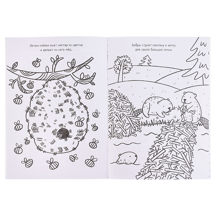 Большие раскраски. На природе