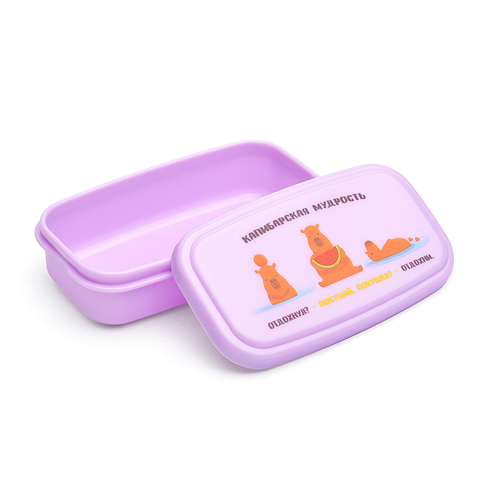 Ланчбокс "Капибарская мудрость" 105x57x30 мм, 95 мл, для школьных завтраков, перекусов, без