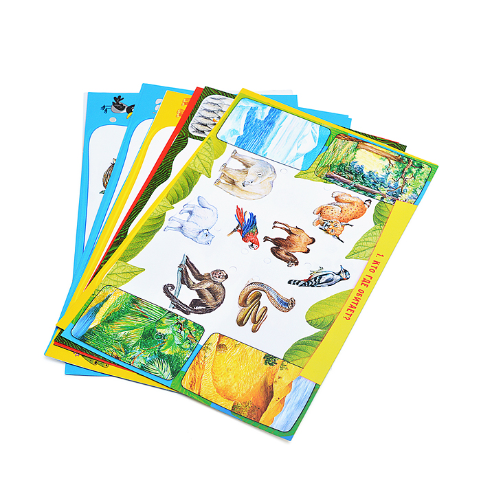 Электровикторина (4-7 лет). Всё обо всём