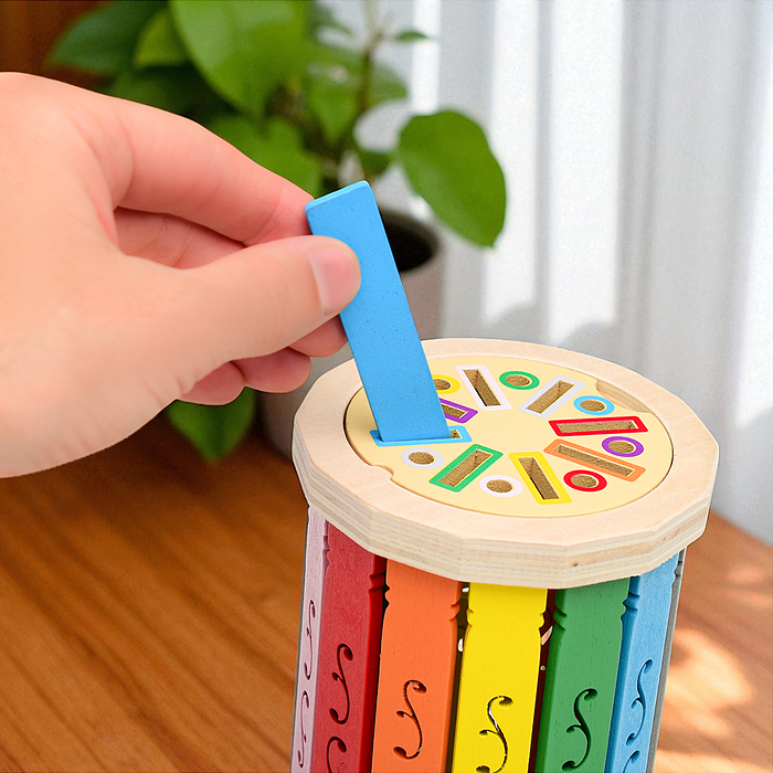 Игра развивающая D2023 "Цветной сортер"