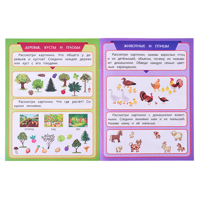 Обучающий набор в папке. Подготовка к школе. 12 брошюр.