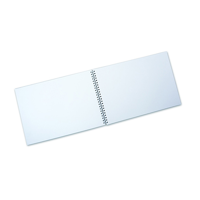 Альбом для рисования 20л. "Акула" на гребне, мел.цв.картон.обл. 