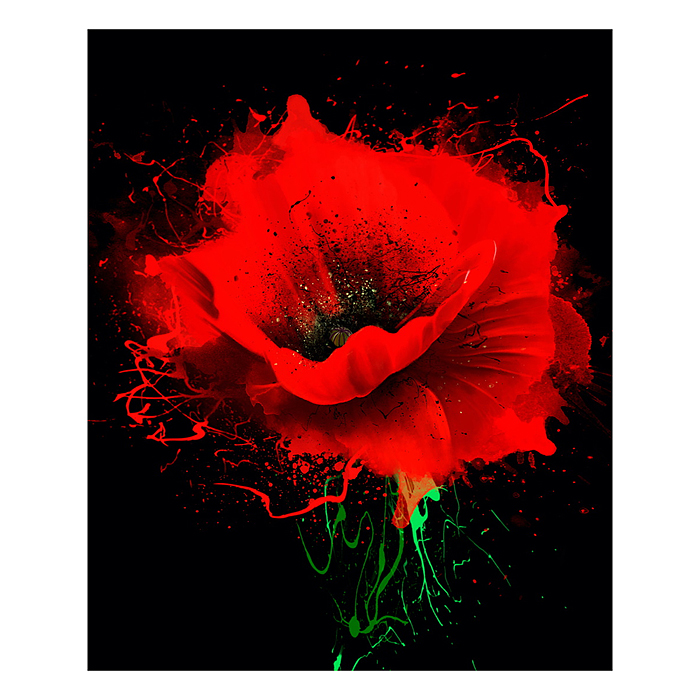 Холст с красками 30х40 см по номерам "Алый мак" (30цв.)