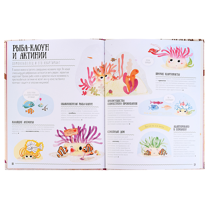 Подарок для самых умных. Животные мира. Книга+Большая раскраска+Игра-ходилка+Карточная игра. 